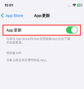 冠县苹果15维修中心如何让iPhone15APP自动更新